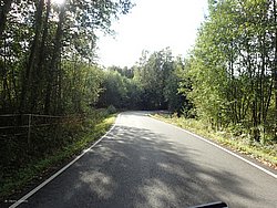 P9051892.JPG