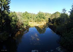 P9061898.jpg