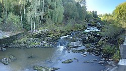 P9061911.jpg